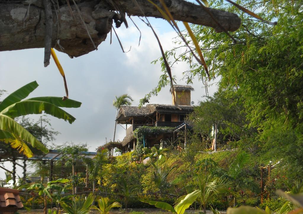 Villa Curia Montanita Exterior photo